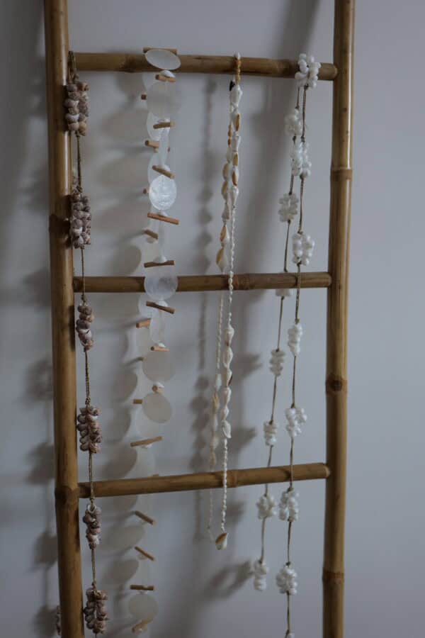 Schelpenslinger bercampur putih