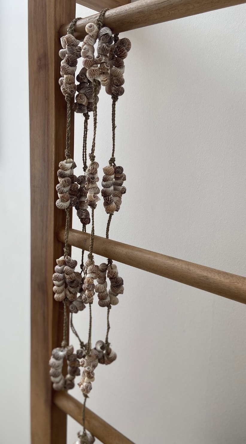 Schelpenslinger Canggu bruin